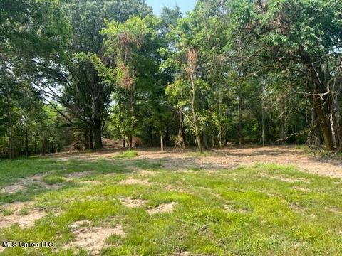2 Bolin Rd, Hernando, MS 38632 photo 5