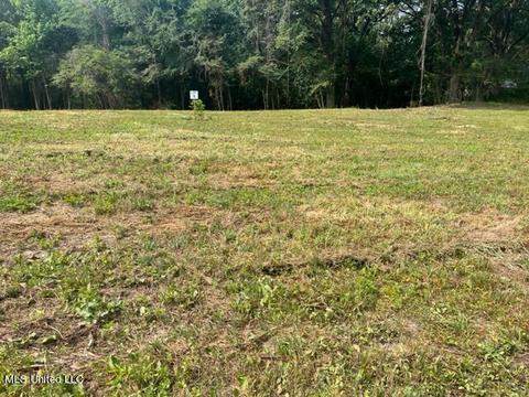 2 Bolin Rd, Hernando, MS 38632 photo 7