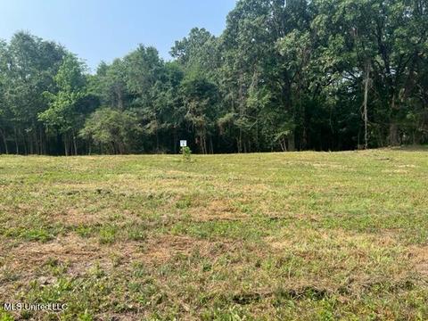 2 Bolin Rd, Hernando, MS 38632 photo 6