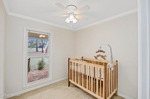 107 Ingleside Rd, Madison, MS 39110 photo 22
