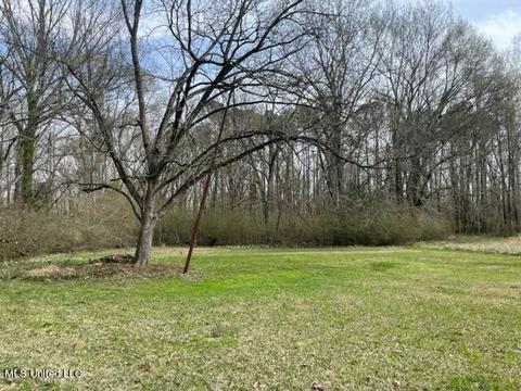 5220 Hanging Moss Rd, Jackson, MS 39206 photo 23