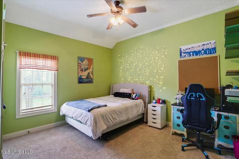 222 Turtle Ln, Brandon, MS 39047 photo 22