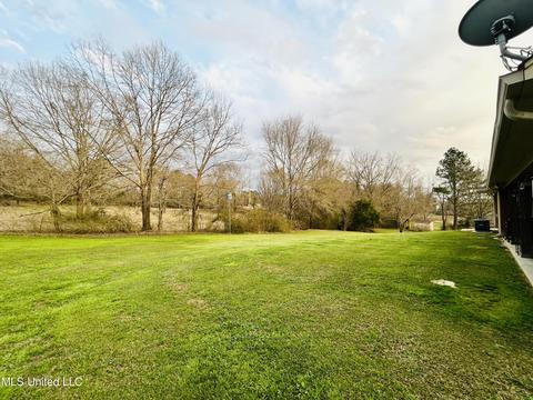 101 Mcwilliams Dr, Terry, MS 39170 photo 8