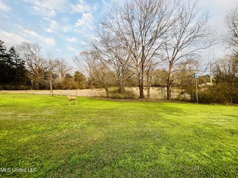 101 Mcwilliams Dr, Terry, MS 39170 photo 9