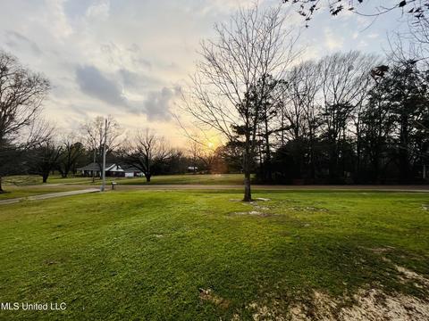 101 Mcwilliams Dr, Terry, MS 39170 photo 12