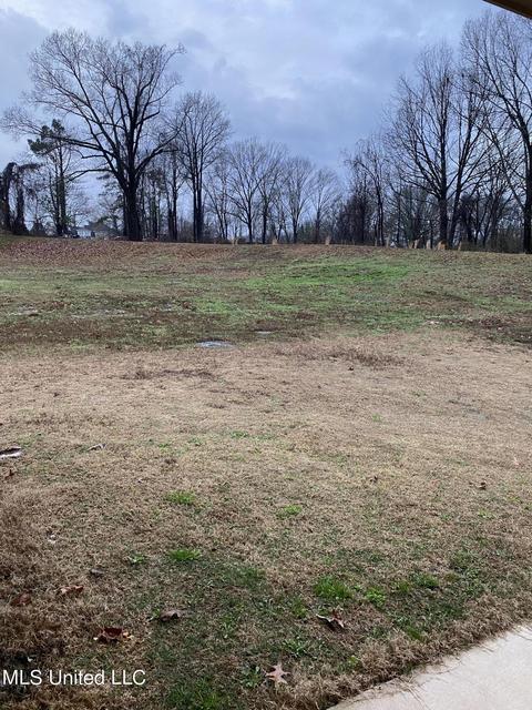 2297 Tulane Rd, Nesbit, MS 38651 photo 20