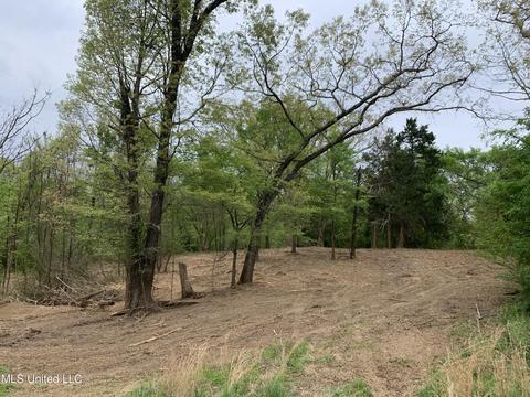 4991 County Line Rd, Coldwater, MS 38618