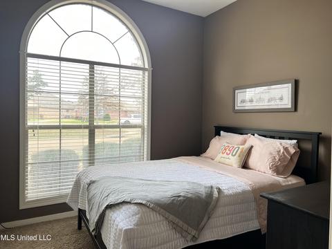 439 Springhill Pt, Brandon, MS 39047 photo 20