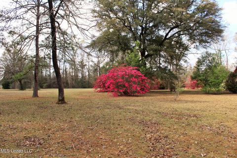 125 Central Firetower Rd, Lucedale, MS 39452 photo 28