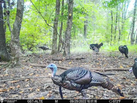 1242 Rock Hill Rd # A, Como, MS 38619 photo 125