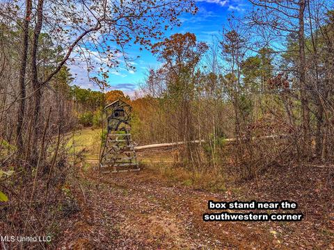 1242 Rock Hill Rd # A, Como, MS 38619 photo 57