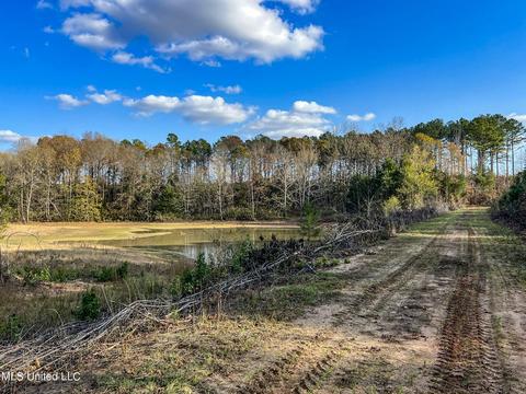 1242 Rock Hill Rd # A, Como, MS 38619 photo 62