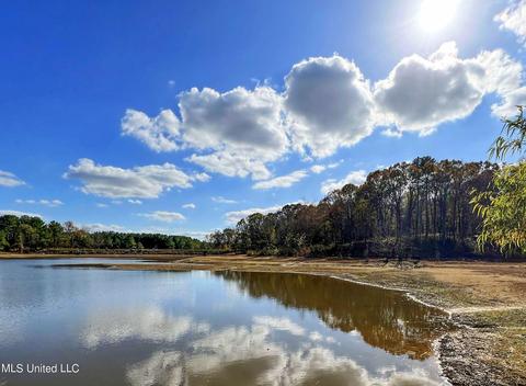 1242 Rock Hill Rd # A, Como, MS 38619 photo 16