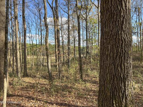 1242 Rock Hill Rd # A, Como, MS 38619 photo 20