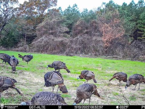 1242 Rock Hill Rd # A, Como, MS 38619 photo 129