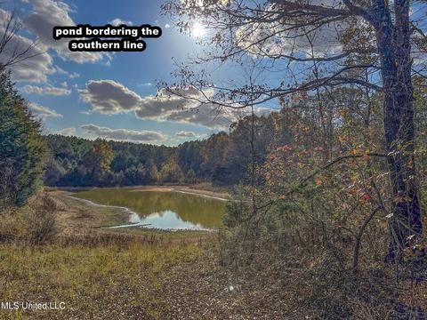 1242 Rock Hill Rd # A, Como, MS 38619 photo 31