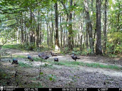 1242 Rock Hill Rd # A, Como, MS 38619 photo 144