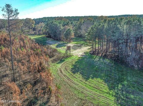 1242 Rock Hill Rd # A, Como, MS 38619 photo 45