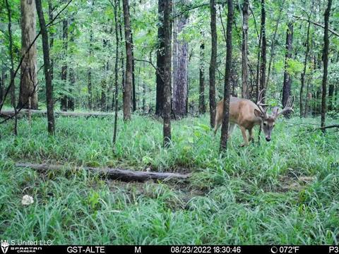 1242 Rock Hill Rd # A, Como, MS 38619 photo 124