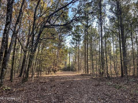 1242 Rock Hill Rd # A, Como, MS 38619 photo 71