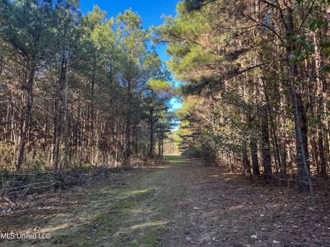 1242 Rock Hill Rd # A, Como, MS 38619 photo 35