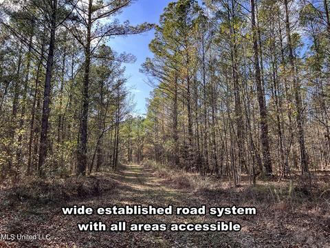 1242 Rock Hill Rd # A, Como, MS 38619 photo 12