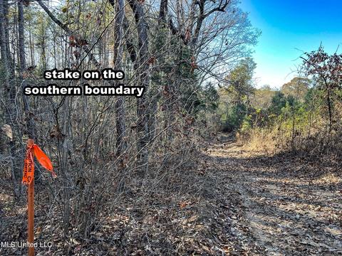 1242 Rock Hill Rd # A, Como, MS 38619 photo 58
