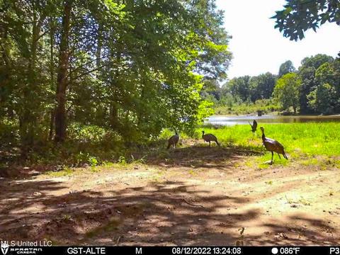 1242 Rock Hill Rd # A, Como, MS 38619 photo 131