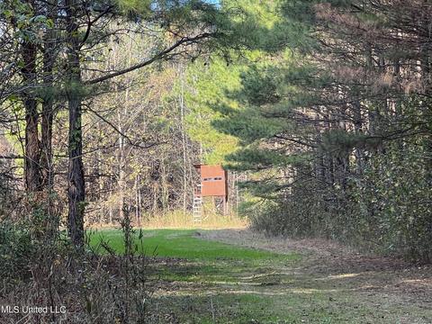 1242 Rock Hill Rd # A, Como, MS 38619 photo 37
