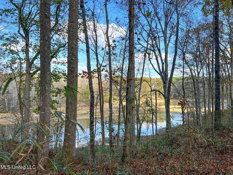 1242 Rock Hill Rd # A, Como, MS 38619 photo 19