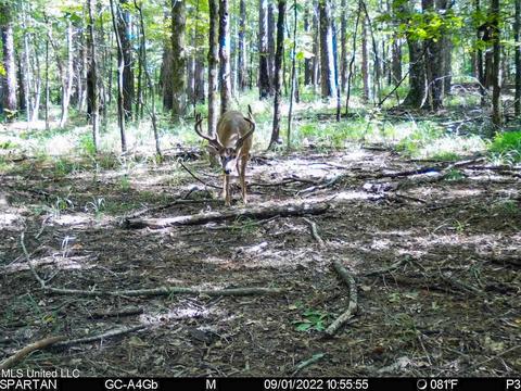 1242 Rock Hill Rd # A, Como, MS 38619 photo 147