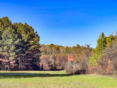 1242 Rock Hill Rd # A, Como, MS 38619 photo 48