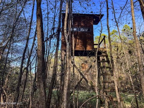 1242 Rock Hill Rd # A, Como, MS 38619 photo 74