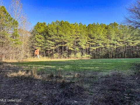1242 Rock Hill Rd # A, Como, MS 38619 photo 40