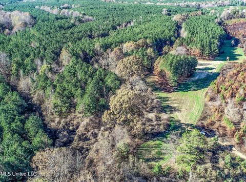 1242 Rock Hill Rd # A, Como, MS 38619 photo 53