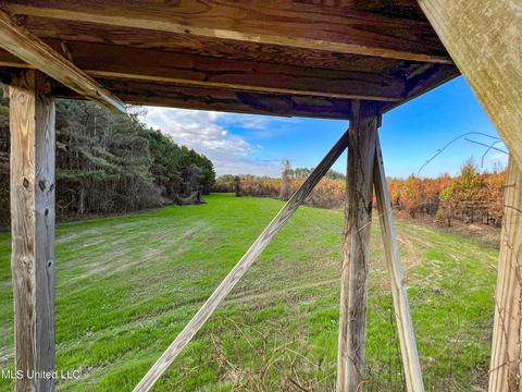1242 Rock Hill Rd # A, Como, MS 38619 photo 50