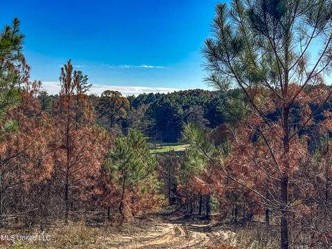 1242 Rock Hill Rd # A, Como, MS 38619 photo 42