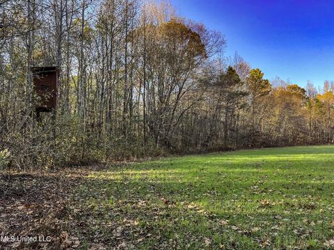 1242 Rock Hill Rd # A, Como, MS 38619 photo 73
