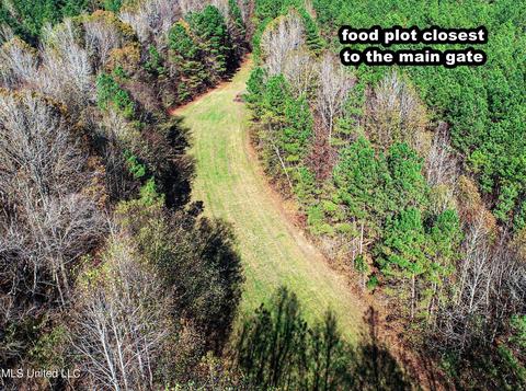 1242 Rock Hill Rd # A, Como, MS 38619 photo 72