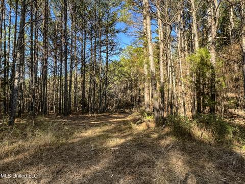 1242 Rock Hill Rd # A, Como, MS 38619 photo 69
