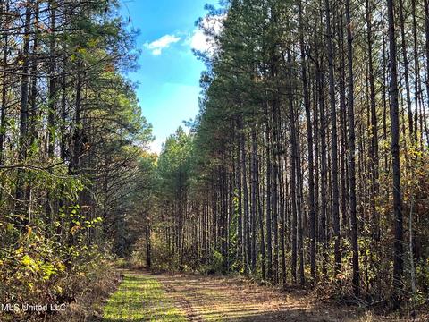 1242 Rock Hill Rd # A, Como, MS 38619 photo 41