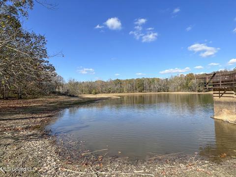 1242 Rock Hill Rd # A, Como, MS 38619 photo 22