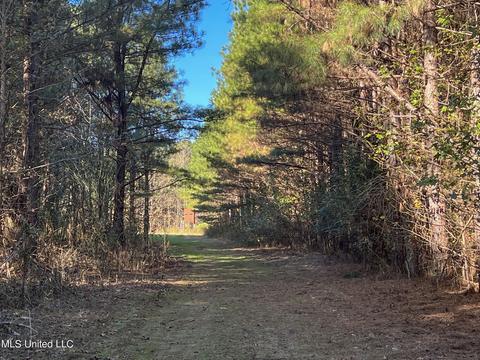 1242 Rock Hill Rd # A, Como, MS 38619 photo 36