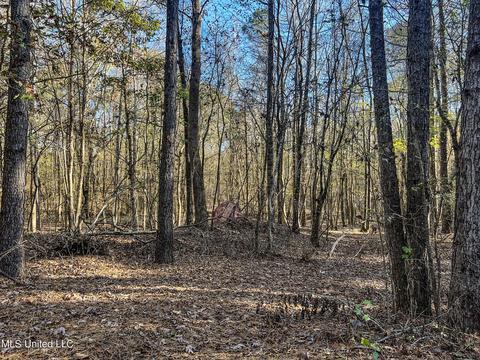 1242 Rock Hill Rd # A, Como, MS 38619 photo 64