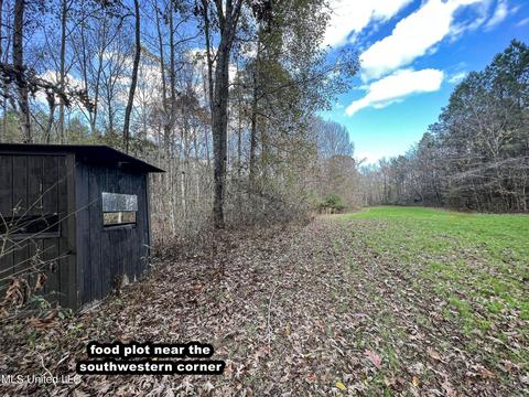 1242 Rock Hill Rd # A, Como, MS 38619 photo 29