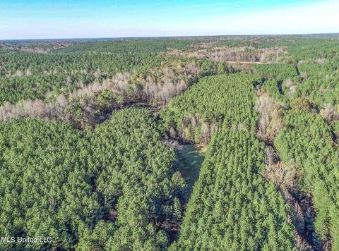 1242 Rock Hill Rd # A, Como, MS 38619 photo 32
