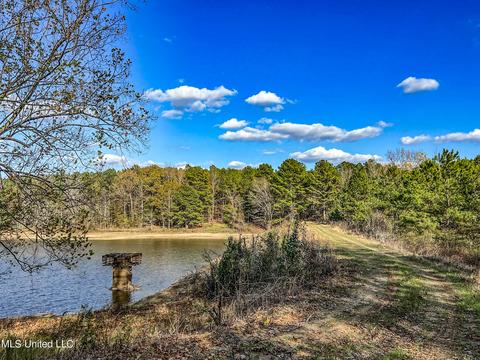1242 Rock Hill Rd # A, Como, MS 38619 photo 21