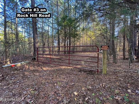 1242 Rock Hill Rd # A, Como, MS 38619 photo 27
