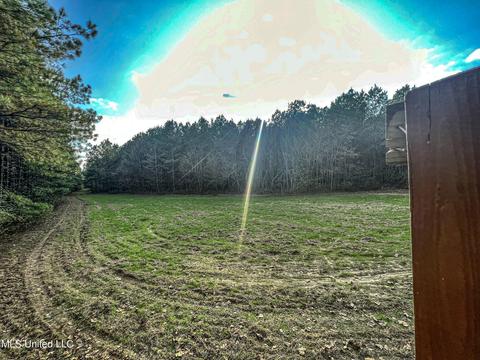 1242 Rock Hill Rd # A, Como, MS 38619 photo 39