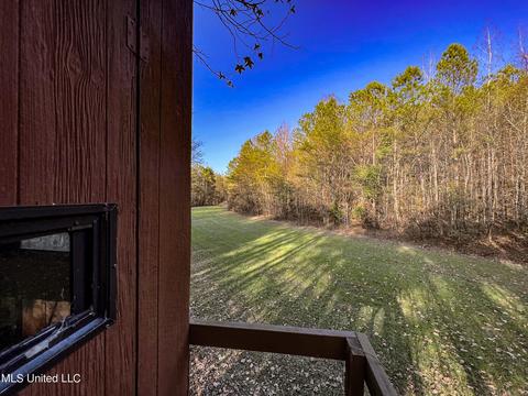 1242 Rock Hill Rd # A, Como, MS 38619 photo 75